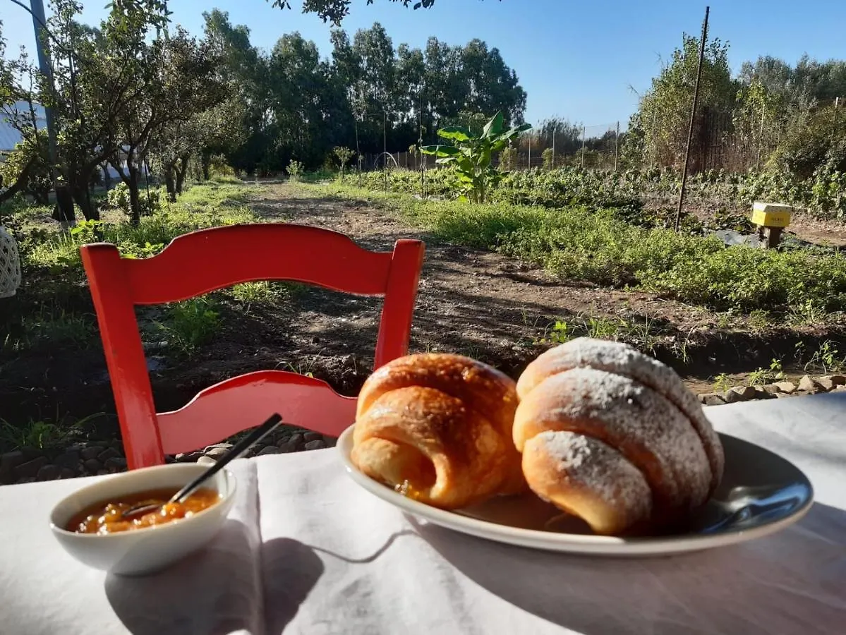 Agrib&B Il Pomo D'Oro Assemini Bed & Breakfast
