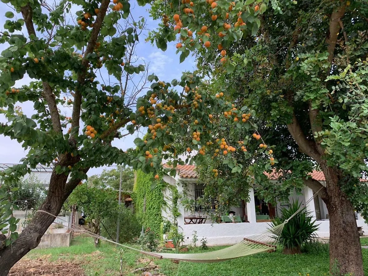 Agrib&B Il Pomo D'Oro Assemini Bed & Breakfast